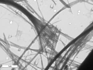 amiante-fibre-chrysotile-microscopie-electronique