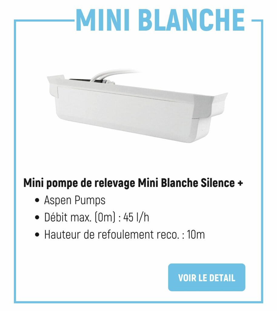 Mini Blanche